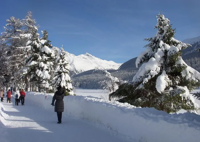 Chesa Derby 3 Апартаменты